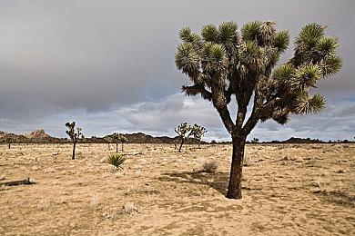 《死亡岛2》主播模式＆AMD FSR 2支持等特性已确认