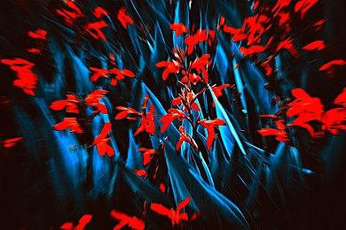 PLAYISM游戏展：太空狼人杀《古诺希亚》Steam版1月23日发售